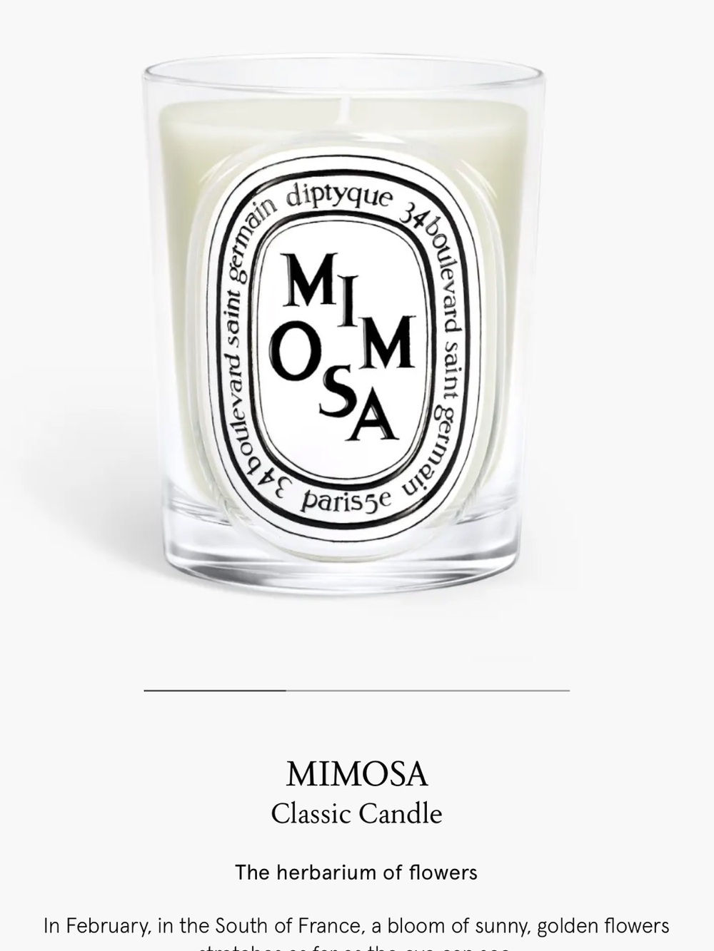 Diptyque Mimosa Classic Size Candle
